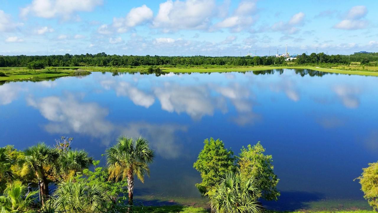 Universal Palms 基西米 外观 照片